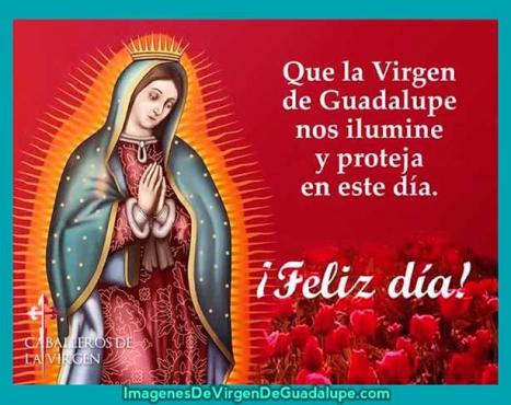 Frases a la Virgen de Guadalupe | 12 de diciembre | Unión Jalisco