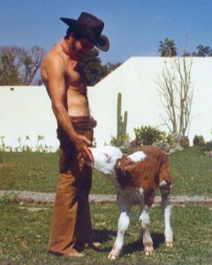 Vicente Fernández alimentando un becerro, en su rancho Los 3 Potrillos